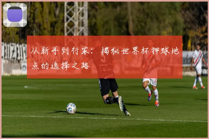 从新手到行家：揭秘世界杯押球地点的选择之路